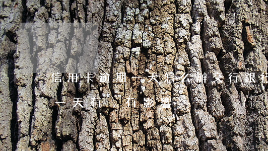 信用卡逾期一天怎么辦交行(銀行信用卡逾期一天有沒有影響?)