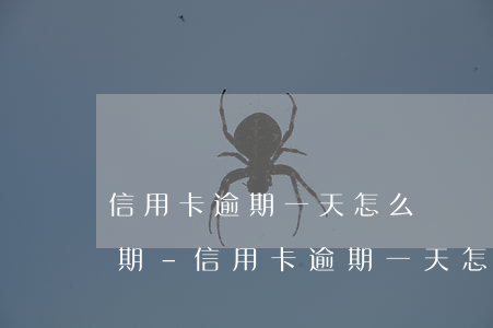 信用卡逾期一天怎么辦?記錯(cuò)了日期-信用卡逾期一天怎么辦?記錯(cuò)了日期怎么辦?