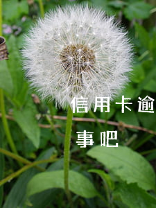 信用卡逾期一天怎么还 还信用卡逾期一天没事吧