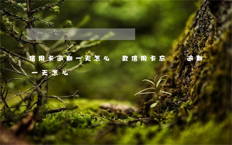 信用卡逾期一天怎么還款(信用卡忘記還逾期一天怎么辦)