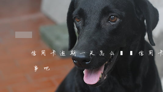 信用卡逾期一天怎么還 還信用卡逾期一天沒事吧