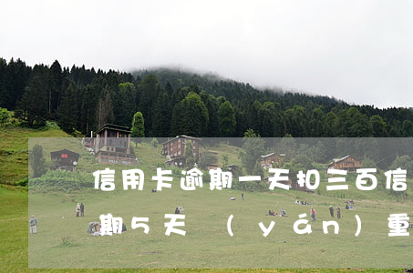 信用卡逾期一天扣三百(信用卡300塊錢逾期5天嚴(yán)重嗎)