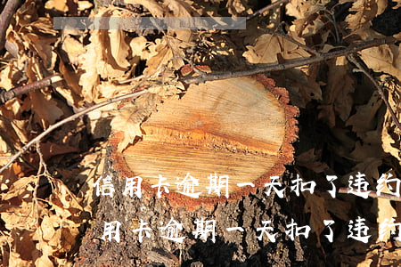 信用卡逾期一天扣了违约金怎么办-工行信用卡逾期一天扣了违约金怎么办