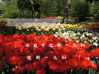 信用卡逾期一天扣錢(qián)-信用卡逾期一天扣錢(qián)嗎