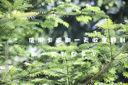 信用卡逾期一天收全额利息吗(1万信用卡逾期一天利息多少)