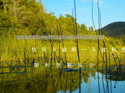 信用卡逾期一天收利息吗(信用卡逾期一个星期利息要多少)