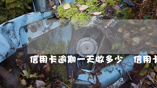信用卡逾期一天收多少錢(信用卡幾元錢逾期)