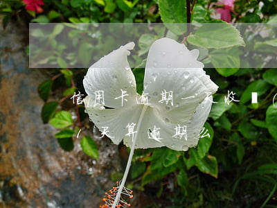 信用卡逾期一天收費(fèi)多少 信用卡1天算逾期么