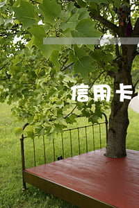 信用卡逾期一天是什么后果