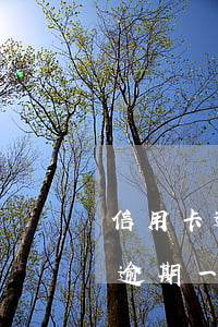 信用卡逾期一天時間能正常使用嗎-信用卡逾期一天時間能正常使用嗎知乎