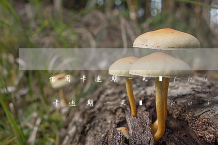 信用卡逾期一天會(huì)上征信嘛(信用卡逾期一天會(huì)上征信嘛)
