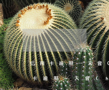 信用卡逾期一天會(huì)上門幾次(信用卡逾期一天會(huì)上門幾次)