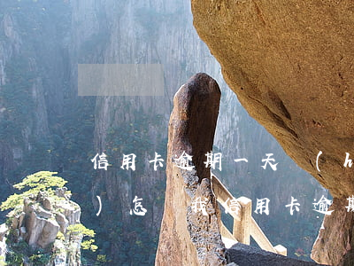信用卡逾期一天會(huì)不會(huì)怎樣(我信用卡逾期一天可以嗎)