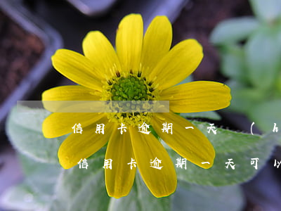 信用卡逾期一天會(huì)影響使用嗎(我信用卡逾期一天可以嗎)