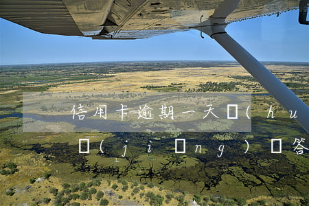 信用卡逾期一天會(huì)有什么后果?,有獎(jiǎng)問答-2021年信用卡逾期一天怎么辦