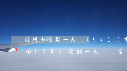 信用卡逾期一天會(huì)有滯納金(信用卡1000逾期一天滯納金多少)