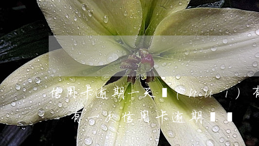 信用卡逾期一天會(huì)有逾期記錄嗎-有一次信用卡逾期記錄