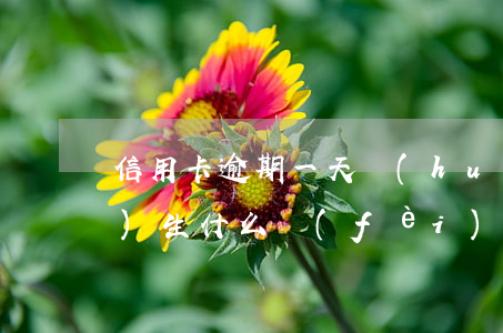 信用卡逾期一天會(huì)產(chǎn)生什么費(fèi)用-信用卡逾期一天會(huì)產(chǎn)生什么費(fèi)用嗎