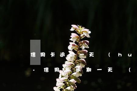 信用卡逾期一天會(huì)被降額嗎貼吧-信用卡逾期一天會(huì)被降額嗎貼吧