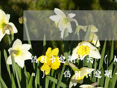 信用卡逾期一天會(huì)黑點(diǎn)嗎(信用卡逾期一個(gè)晚上有影響嗎)