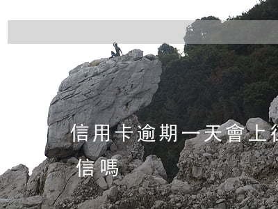 信用卡逾期一天會上征信么(卡逾期一天上征信嗎)