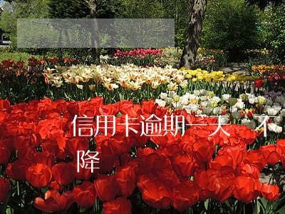信用卡逾期一天會不會降額度(年底了信用卡降額)