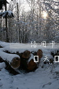 信用卡逾期一天會影響上征信嗎(信用卡逾期幾天會影響征信嗎)