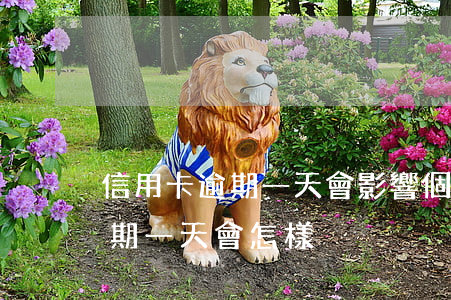 信用卡逾期一天會影響個人征信(個人征信逾期一天會怎樣)
