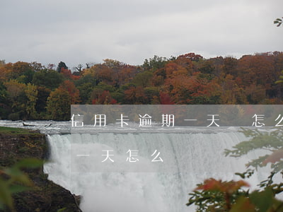 信用卡逾期一天會怎么楊(不小心信用卡逾期一天怎么辦)