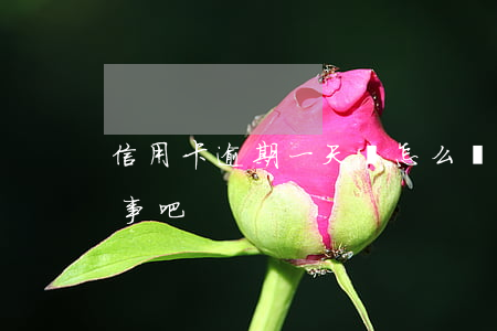 信用卡逾期一天會怎么(還信用卡逾期一天沒事吧)