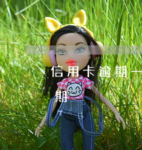 信用卡逾期一天會收多少錢(幾塊錢信用卡逾期)