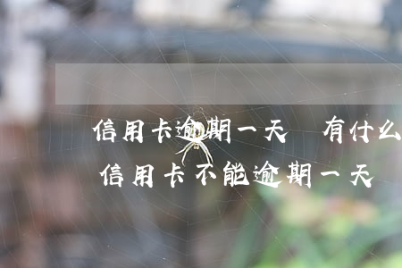 信用卡逾期一天會有什么問題-哪個銀行的信用卡不能逾期一天