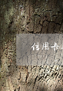 信用卡逾期一天會產(chǎn)生不良記錄嗎-信用卡逾期一天會產(chǎn)生不良記錄嗎怎么辦