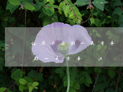 信用卡逾期一天有事嗎江蘇銀行-信用卡逾期一天有事嗎江蘇銀行