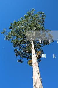 信用卡逾期一天有什么影响么-逾期一天还信用卡会怎样