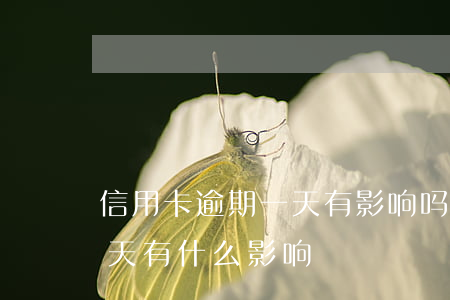 信用卡逾期一天有影响吗邮政(银行卡逾期一天有什么影响)