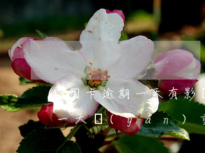 信用卡逾期一天有影響嗎交通-交通卡逾期一天嚴(yán)重嗎