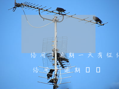 信用卡逾期一天有征信記錄嗎-征信有一條信用卡逾期記錄