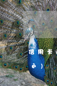 信用卡逾期一天有沒(méi)事(哪個(gè)銀行的信用卡不能逾期一天)