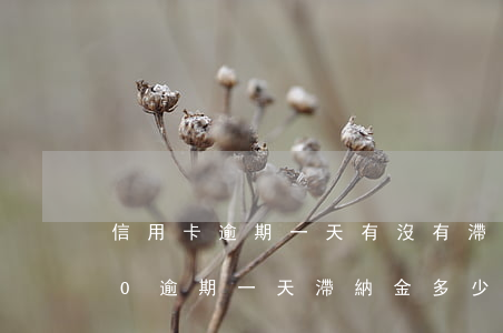 信用卡逾期一天有沒有滯納金(信用卡1000逾期一天滯納金多少)
