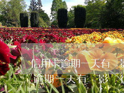 信用卡逾期一天有無影響征信記錄-信用卡逾期一天有無影響征信記錄呢