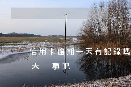 信用卡逾期一天有記錄嗎-還信用卡逾期一天沒事吧