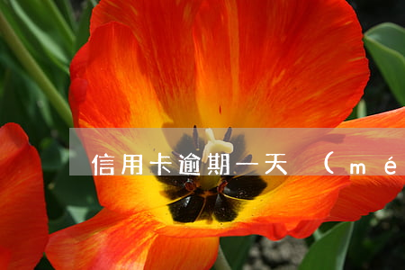信用卡逾期一天沒(méi)事兒吧