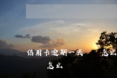 信用卡逾期一天沒還怎么辦(信用卡逾期一天沒還怎么辦)