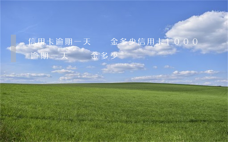 信用卡逾期一天滯納金多少(信用卡1000逾期一天滯納金多少)