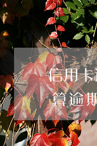 信用卡逾期一天為什么有違約金(信用卡1天算逾期么)
