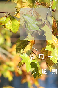 信用卡逾期一天理由怎么寫(xiě)（信用卡逾期一天理由）