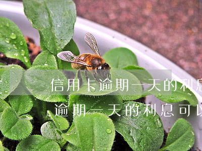 信用卡逾期一天的利息可以免除嗎-信用卡逾期一天的利息可以免除嗎怎么算