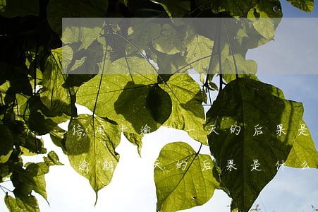 信用卡逾期一天的后果是什么郵政-信用卡逾期一天的后果是什么郵政催收