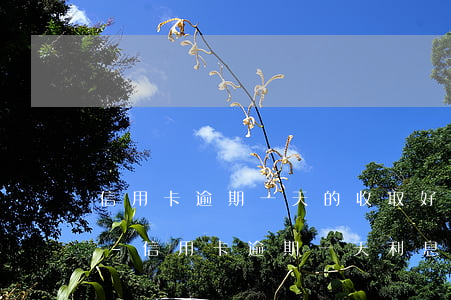 信用卡逾期一天的收取好多費(fèi)用-信用卡 逾期一天 利息怎么算的